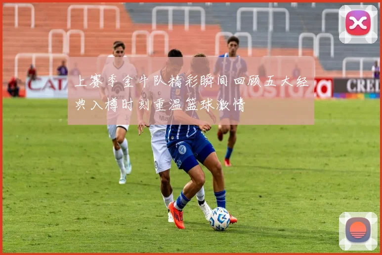 上赛季金牛队精彩瞬间回顾五大经典入樽时刻重温篮球激情