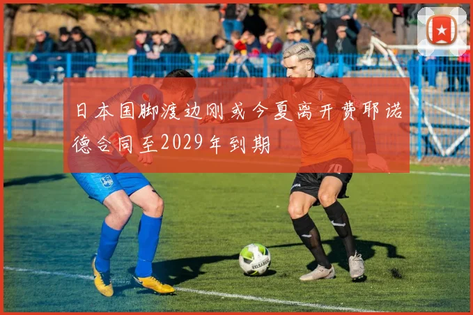 日本国脚渡边刚或今夏离开费耶诺德合同至2029年到期